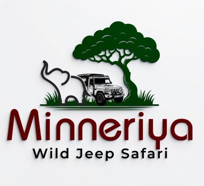 Minneriya Jeep Safari